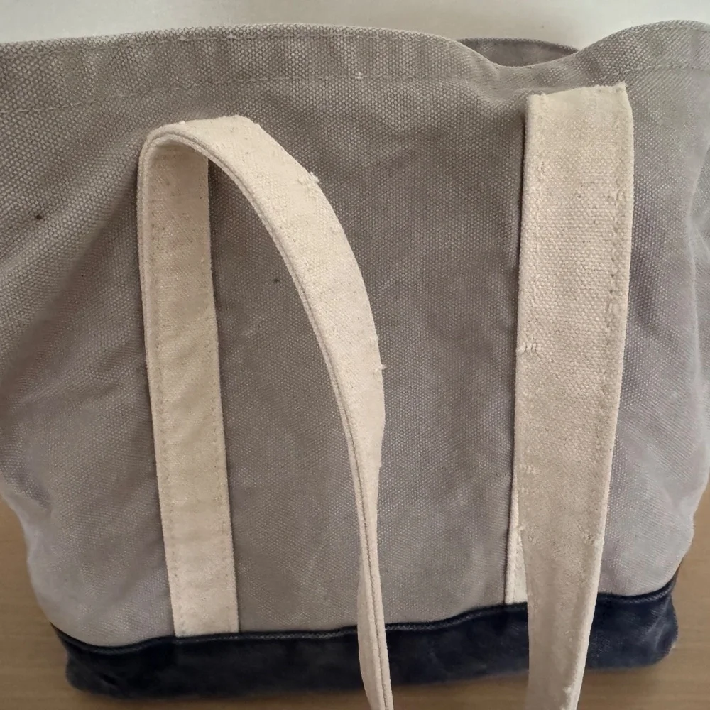 Love thy beast pet tote S